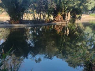 Encuentro : Parque Mujica . Naturaleza que enamora . 